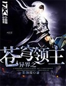 《异界之苍穹领主》
