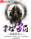 《掌控雷罚》