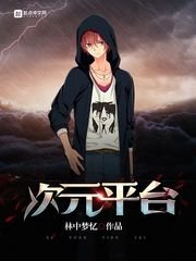 《次元平台》