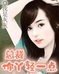 《总裁你恶魔/总裁你丫轻点儿》