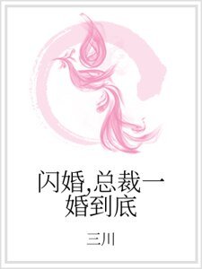 《闪婚,总裁一婚到底》