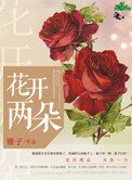 《花开两朵》