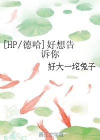 《(BL/HP/德哈同人)好想告诉你》