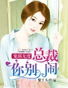 《寵溺無度,總裁你別鬧》