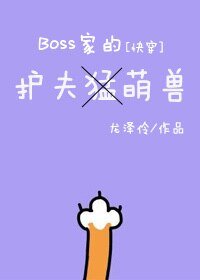 《BOSS的护夫萌兽》