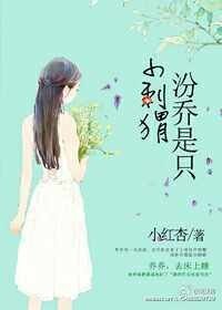 《汾喬是隻小刺蝟》