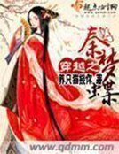 《穿越之秦梦蝶》