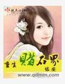重生赌石界