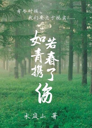 《如若青春携了伤》