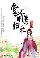 《堂前燕归来》