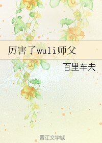 《厉害了wuli师父》
