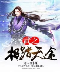 《武之极踏天途》