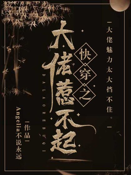 《茅穿之大佬惹不起》