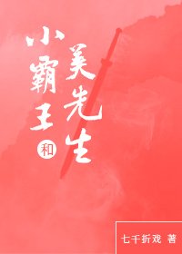 《小霸王和美先生gl》