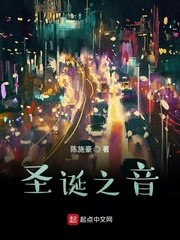 《圣诞之音》