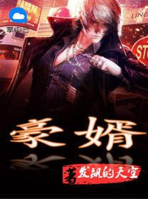 《豪婿》