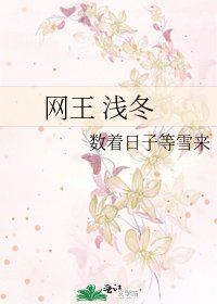 《网王 浅冬》