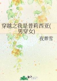 《穿越之我是普莉西亚(男穿女)》