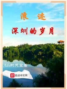 《浪迹深圳的岁月》
