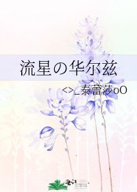 《流星の华尔兹》
