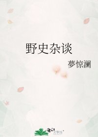 《野史杂谈》