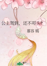 《公主驾到,还不叩头?》