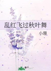 《乱红飞过秋叶舞》