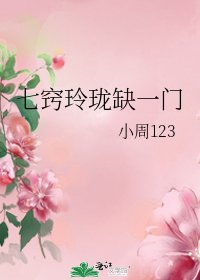 《七窍玲珑缺一门》