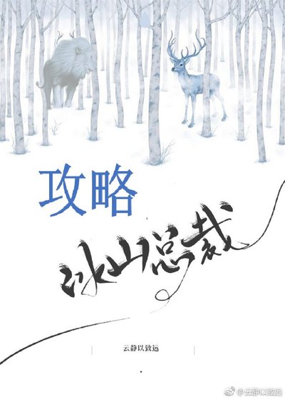 攻略冰山总裁