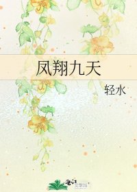 《凤翔九天》