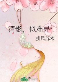 《清影,似难寻》