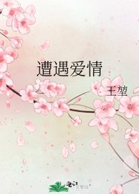 《遭遇爱情》