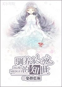 (BG/网王同人)驯养玫瑰的知世
