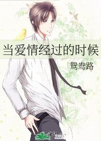 《当爱情经过的时候》