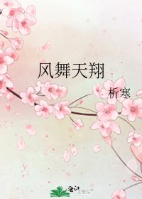 《风舞天翔》