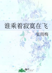 《谁乘着寂寞在飞》
