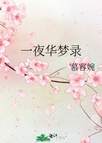 《一夜华梦录》