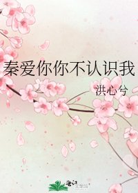 《秦爱你你不认识我》