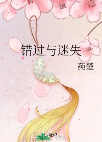 《错过与迷失》