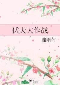 《伏夫大作战》