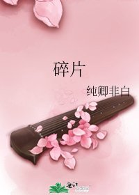 《碎片》