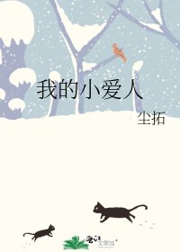 《我的小爱人》