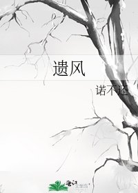 《遗风》