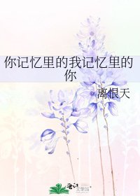 《你记忆里的我记忆里的你》