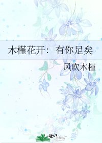 木槿花开：有你足矣