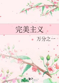 《完美主义》