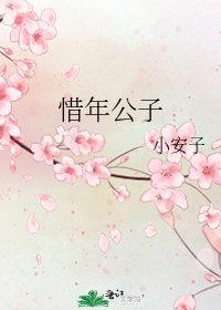 《惜年公子》