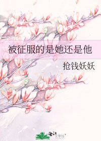 《被征服的是她还是他》