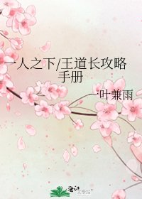 《一人之下/王道长攻略手册》