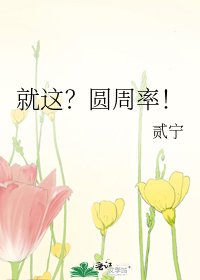 《就这?圆周率!》